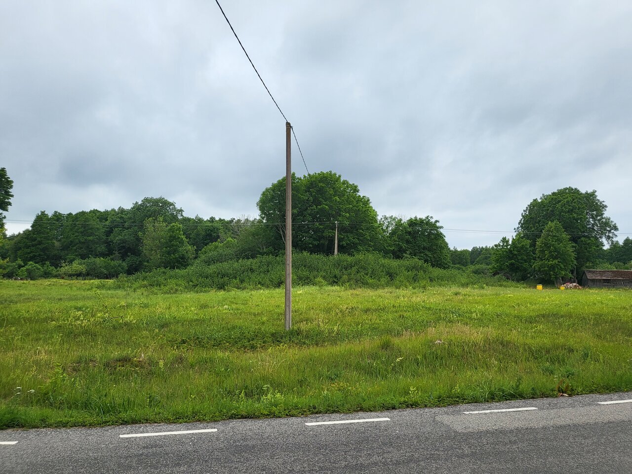 Paku hinda! elamumaa Roosta liivarannast ca 2,3 km