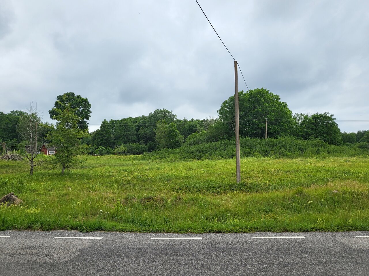 Paku hinda! elamumaa Roosta liivarannast ca 2,3 km