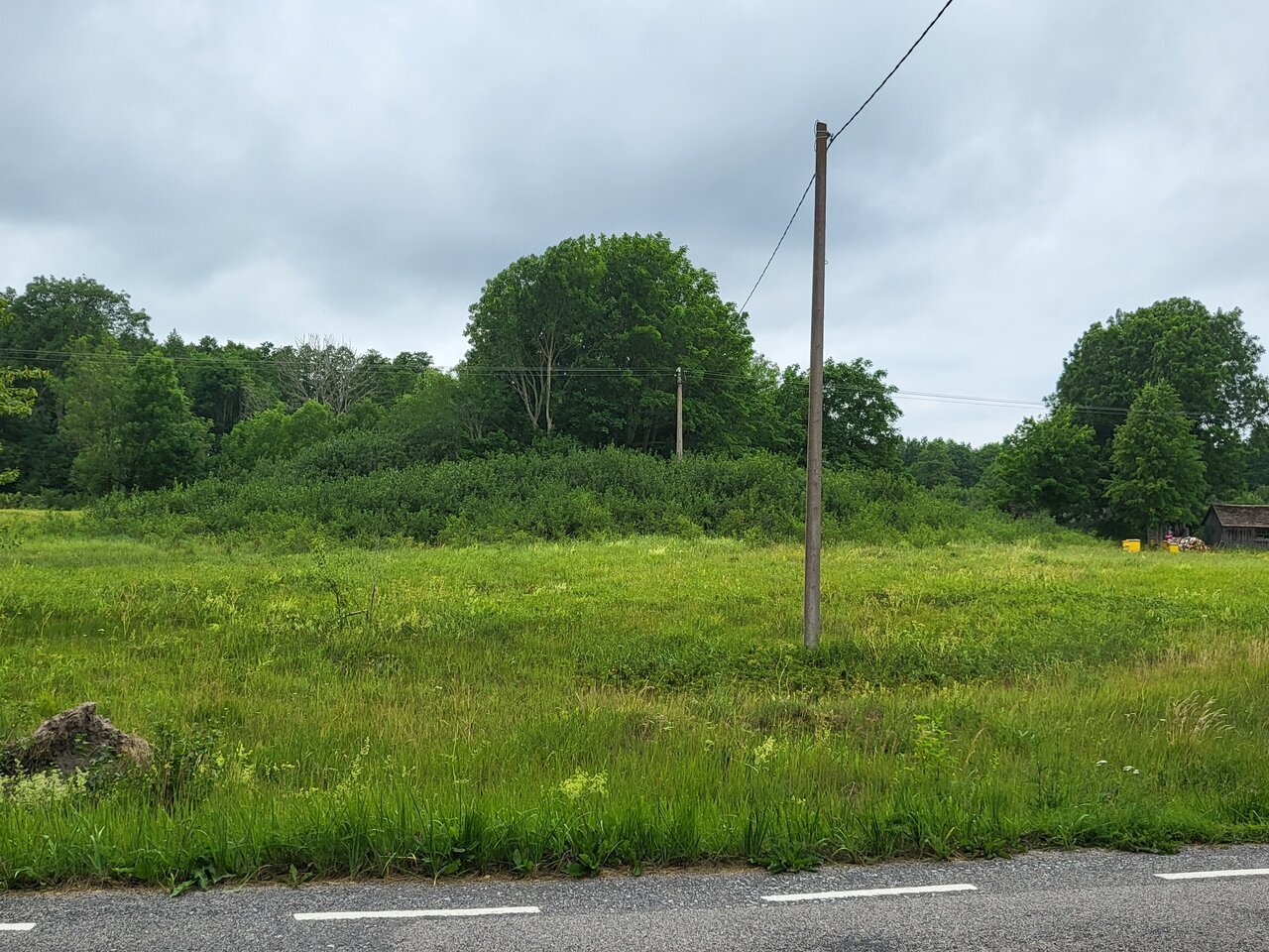 Paku hinda! elamumaa Roosta liivarannast ca 2,3 km