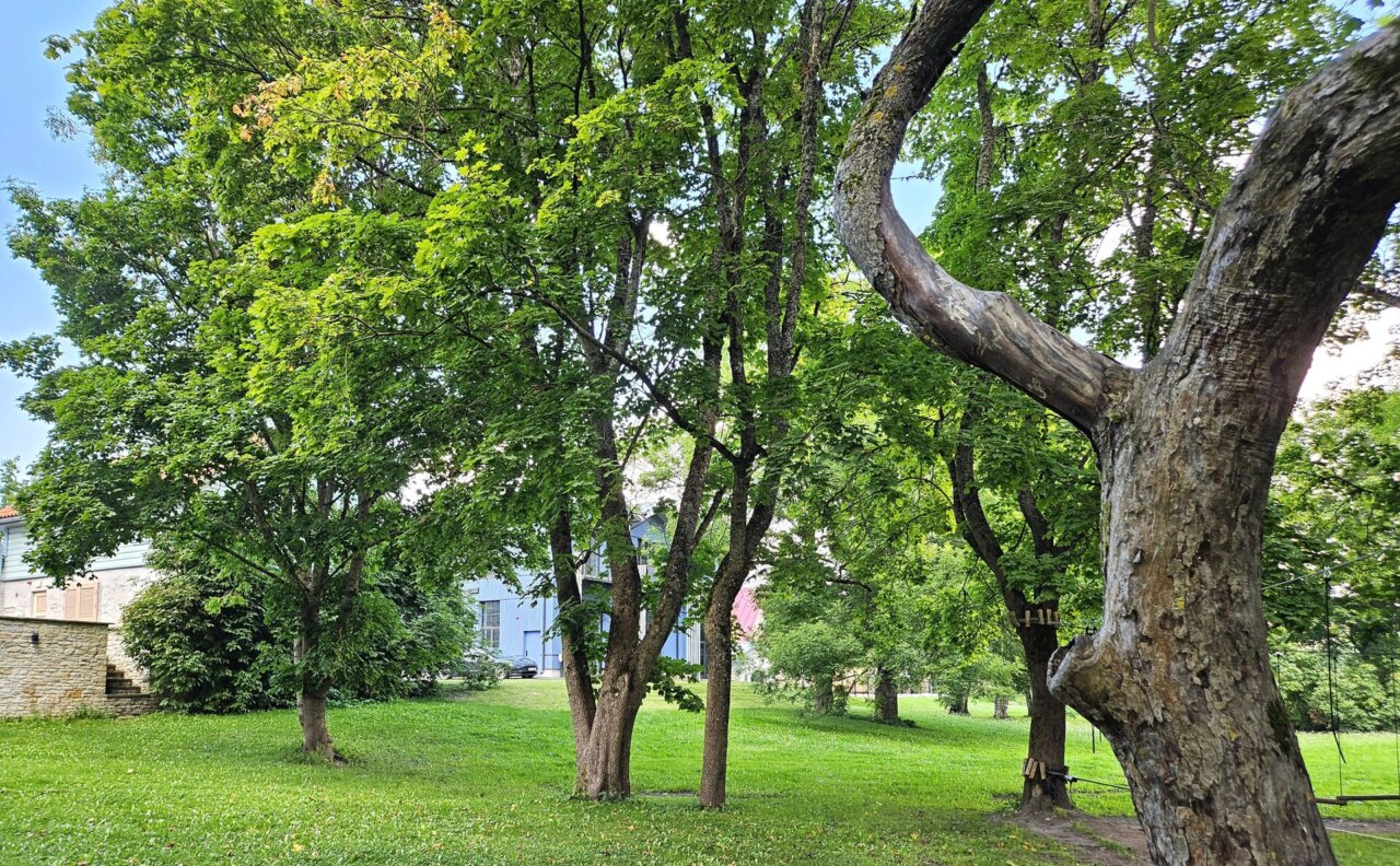 2-toaline saunaga korter läbi kahe korruse