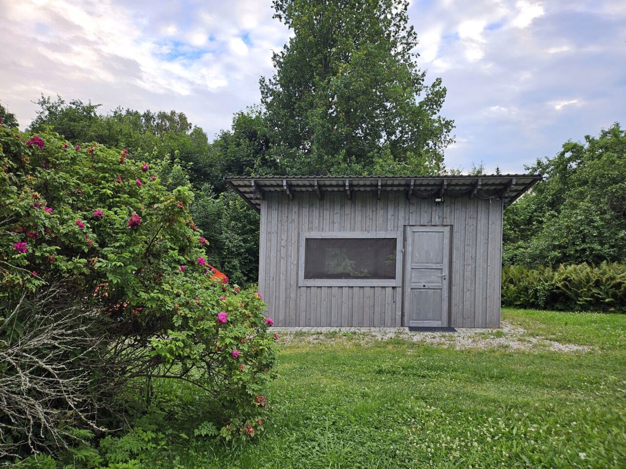 suvekoduks sobiv majapidamine linna lähedal