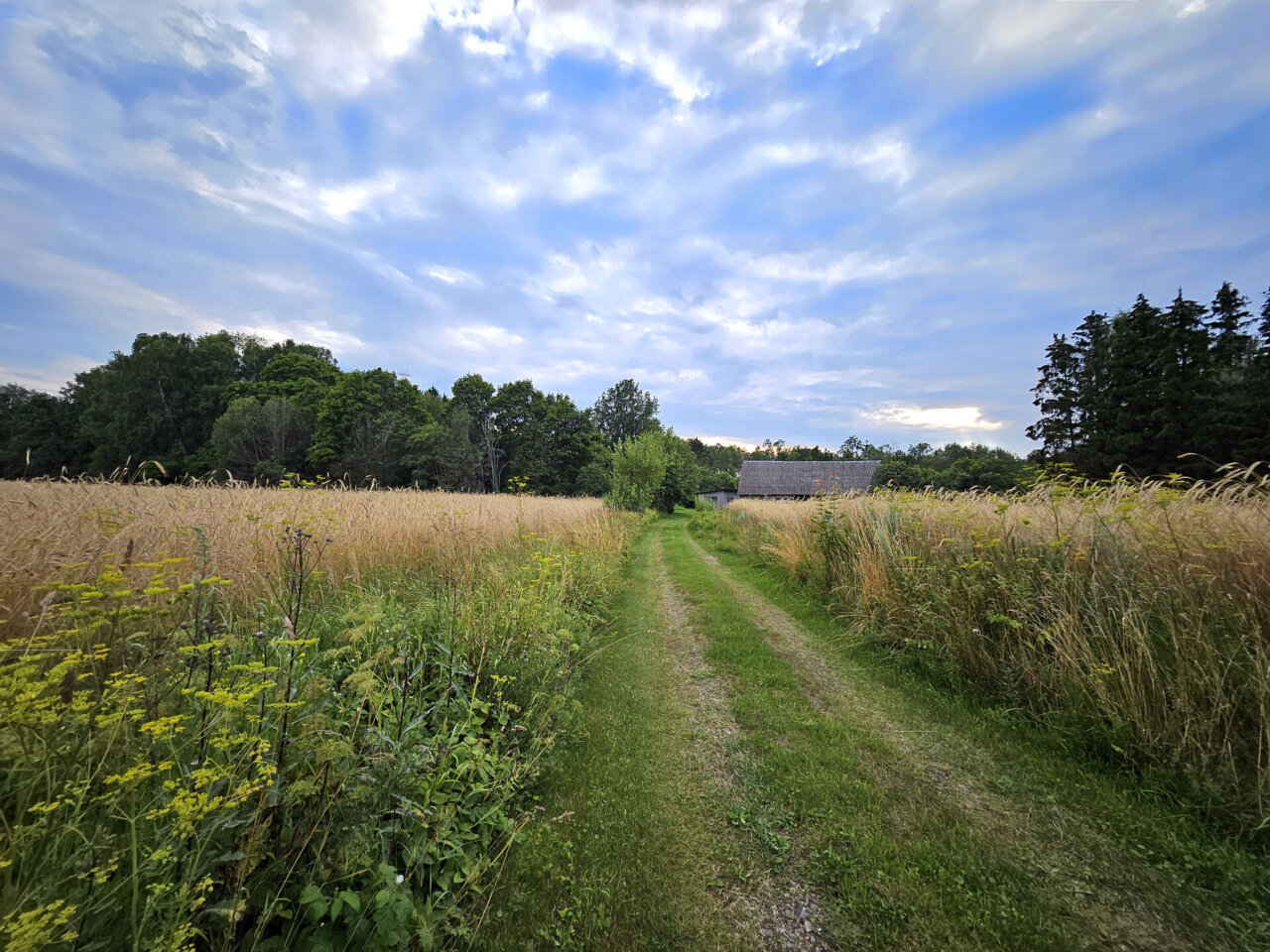 suvekoduks sobiv majapidamine linna lähedal