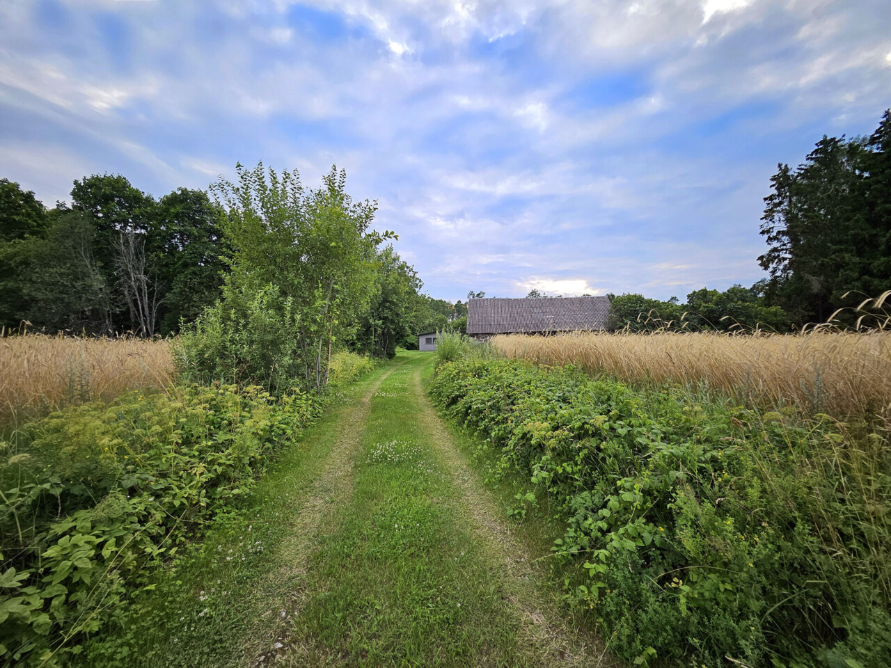 suvekoduks sobiv majapidamine linna lähedal
