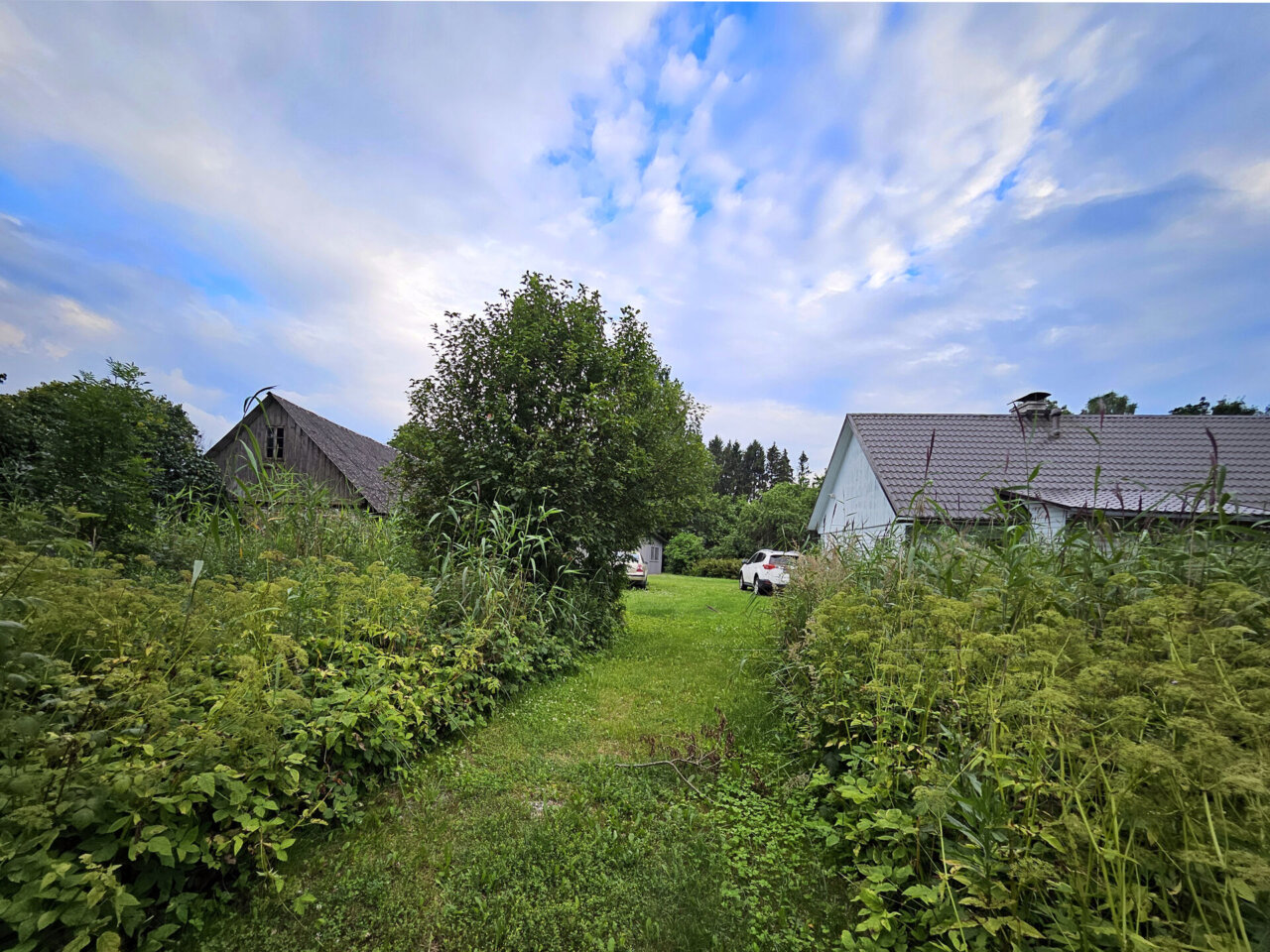 suvekoduks sobiv majapidamine linna lähedal