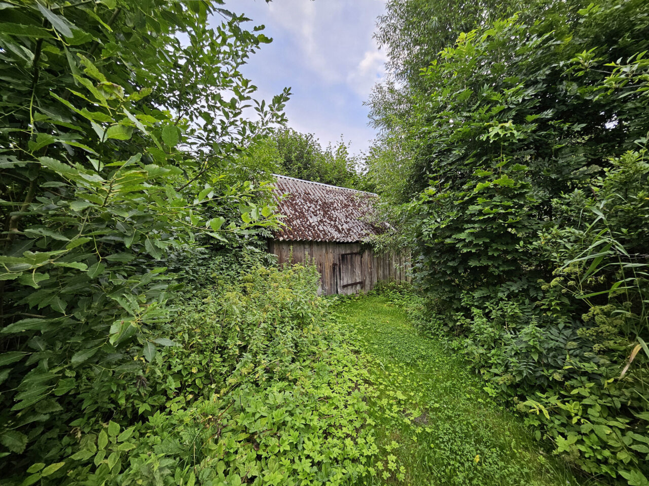 suvekoduks sobiv majapidamine linna lähedal