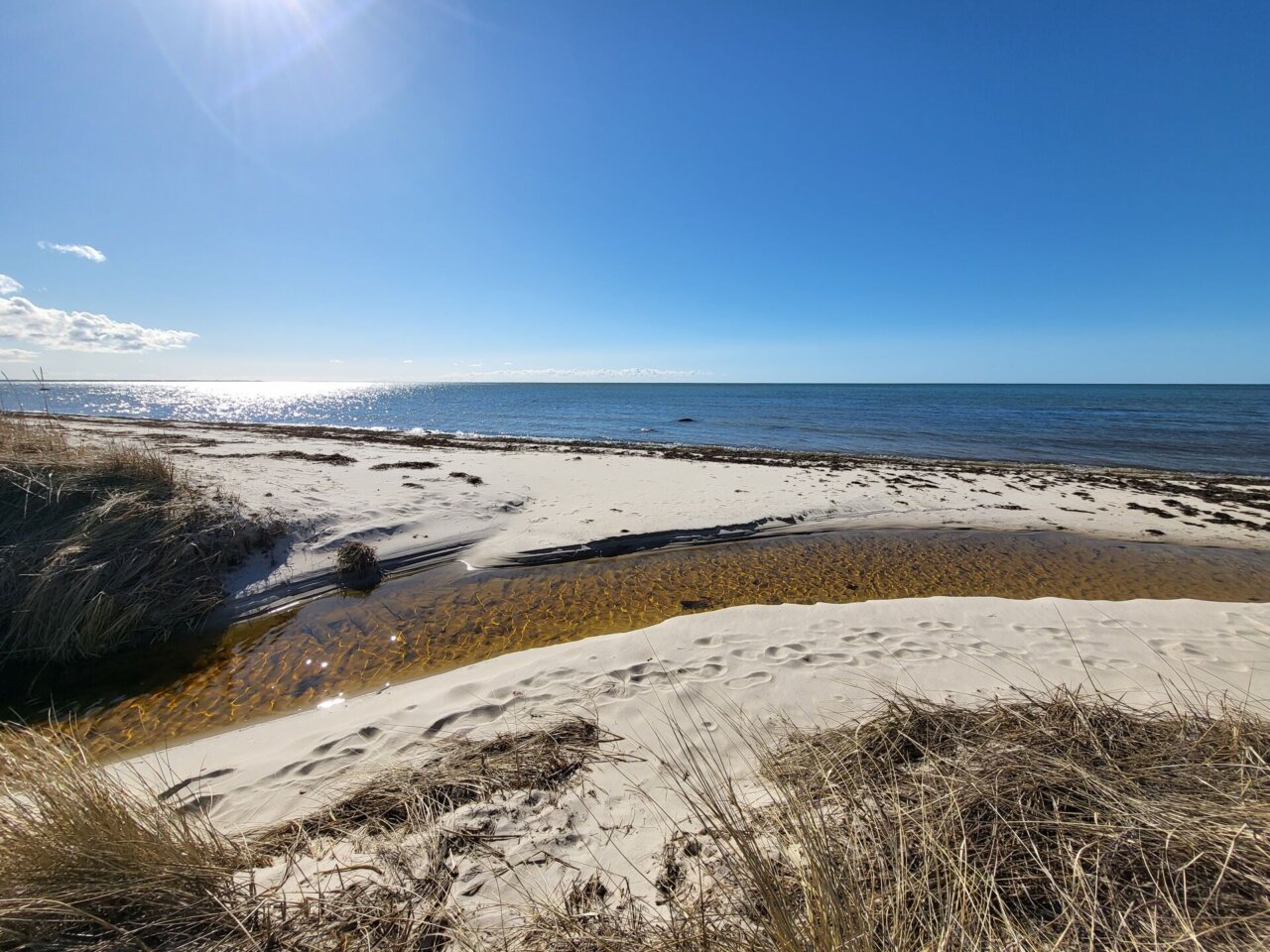 Suvemajaga kinnistu Roosta ranna lähedal