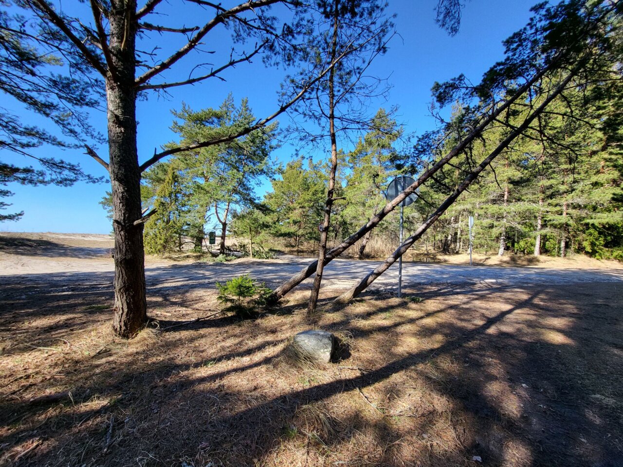 Suvemajaga kinnistu Roosta ranna lähedal